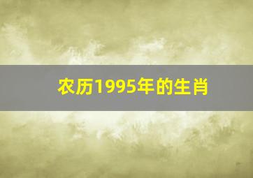 农历1995年的生肖