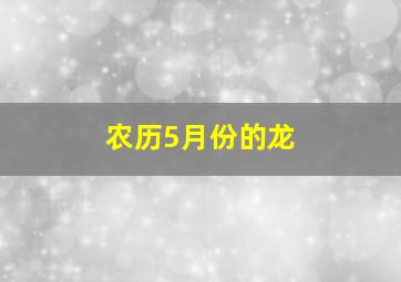 农历5月份的龙