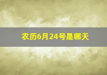 农历6月24号是哪天