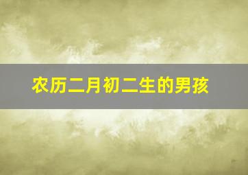 农历二月初二生的男孩