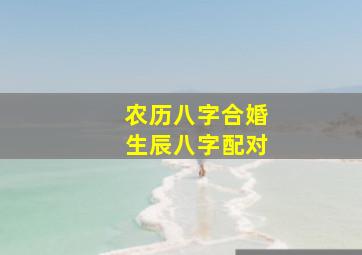 农历八字合婚生辰八字配对