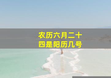 农历六月二十四是阳历几号