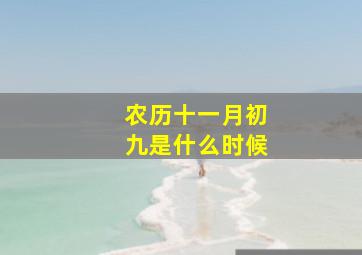 农历十一月初九是什么时候