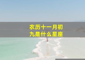 农历十一月初九是什么星座