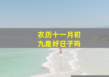 农历十一月初九是好日子吗