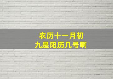 农历十一月初九是阳历几号啊