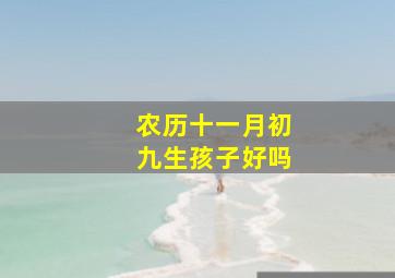 农历十一月初九生孩子好吗