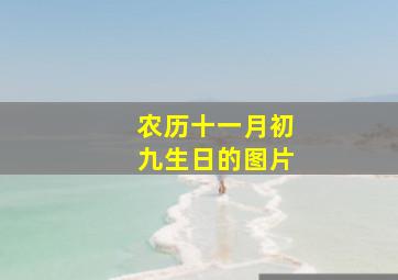 农历十一月初九生日的图片