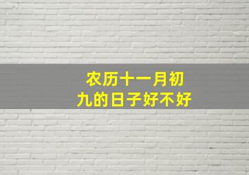 农历十一月初九的日子好不好