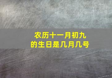 农历十一月初九的生日是几月几号