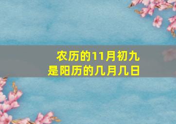 农历的11月初九是阳历的几月几日