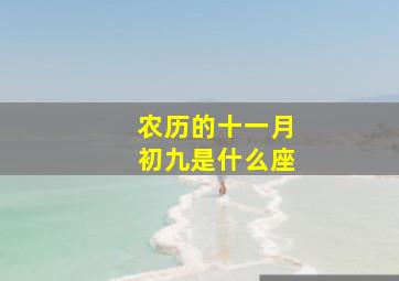 农历的十一月初九是什么座