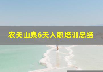 农夫山泉6天入职培训总结