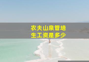 农夫山泉管培生工资是多少