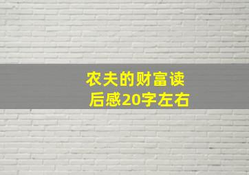 农夫的财富读后感20字左右