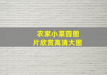 农家小菜园图片欣赏高清大图