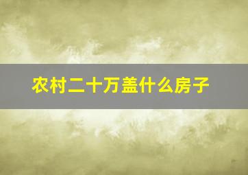 农村二十万盖什么房子