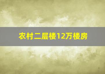 农村二层楼12万楼房