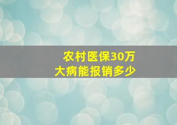 农村医保30万大病能报销多少