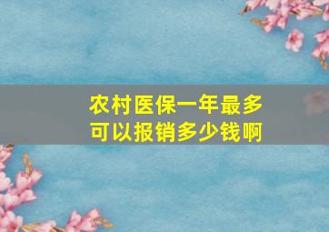 农村医保一年最多可以报销多少钱啊