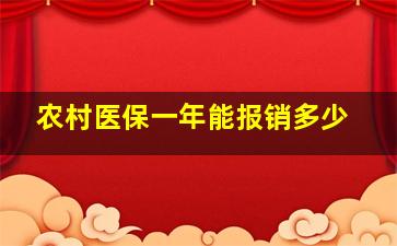 农村医保一年能报销多少