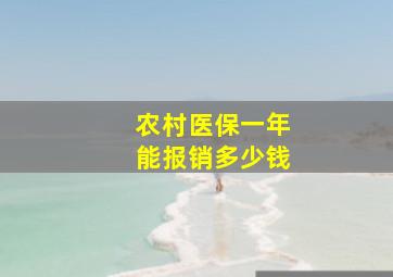 农村医保一年能报销多少钱