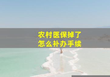 农村医保掉了怎么补办手续