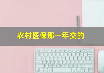 农村医保那一年交的