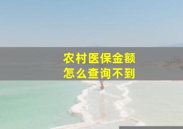 农村医保金额怎么查询不到