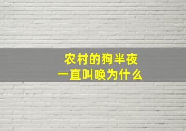 农村的狗半夜一直叫唤为什么