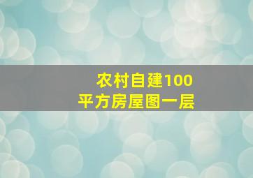 农村自建100平方房屋图一层