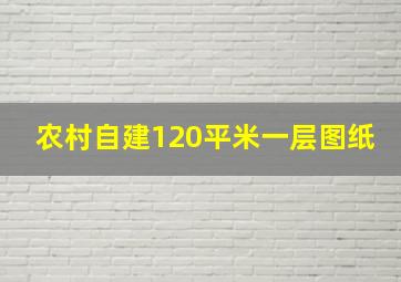 农村自建120平米一层图纸