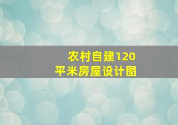 农村自建120平米房屋设计图