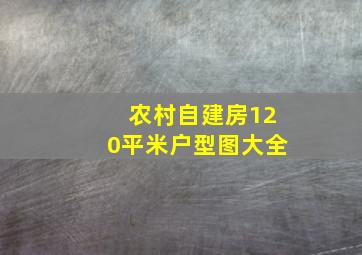 农村自建房120平米户型图大全