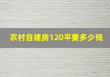 农村自建房120平要多少钱