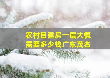 农村自建房一层大概需要多少钱广东茂名