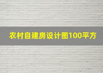 农村自建房设计图100平方