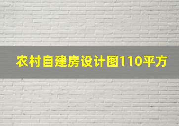 农村自建房设计图110平方