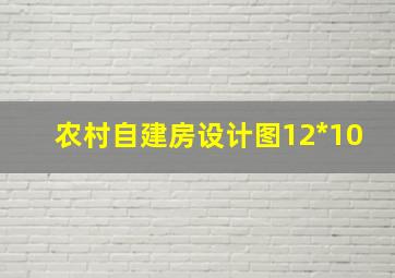 农村自建房设计图12*10