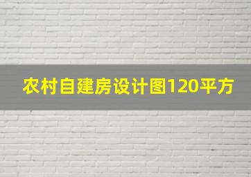 农村自建房设计图120平方