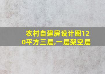 农村自建房设计图120平方三层,一层架空层