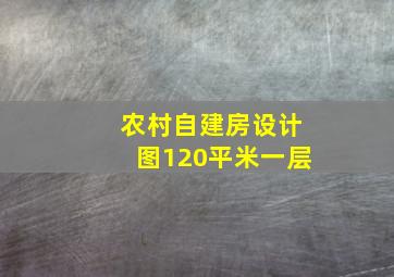 农村自建房设计图120平米一层