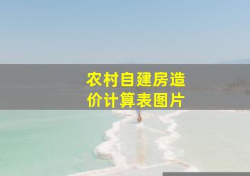 农村自建房造价计算表图片