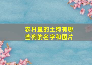 农村里的土狗有哪些狗的名字和图片