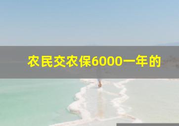 农民交农保6000一年的