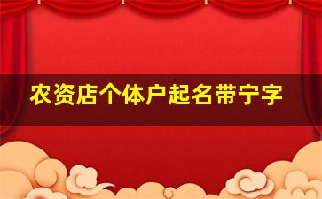 农资店个体户起名带宁字