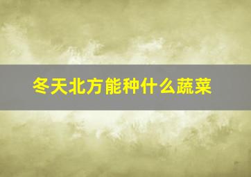 冬天北方能种什么蔬菜