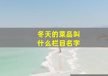 冬天的菜品叫什么栏目名字