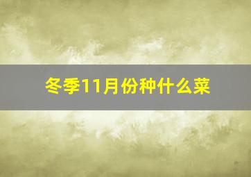 冬季11月份种什么菜