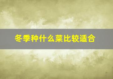 冬季种什么菜比较适合